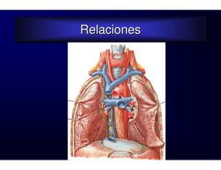 Relaciones
Relaciones
 