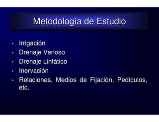 Metodología de Estudio
        Metodología de Estudio

•   Irrigación
•   Drenaje Venoso
•   Drenaje Linfático
•   Inervación
•   Relaciones, Medios de Fijación, Pedículos,
    etc.
 