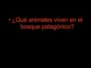 ¿Qué animales viven en el bosque patagónico? 