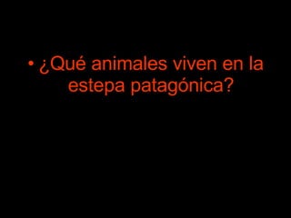 ¿Qué animales viven en la estepa patagónica? 