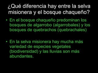 ¿Qué diferencia hay entre la selva misionera y el bosque chaqueño? En el bosque chaqueño predominan los bosques de algarrobo (algarrobales) y los bosques de quebrachos (quebrachales) En la selva misionera hay mucha más variedad de especies vegetales (biodiversidad) y las lluvias son más abundantes.  