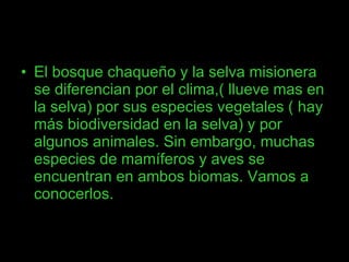 El bosque chaqueño y la selva misionera se diferencian por el clima,( llueve mas en la selva) por sus especies vegetales ( hay más biodiversidad en la selva) y por algunos animales. Sin embargo, muchas especies de mamíferos y aves se encuentran en ambos biomas. Vamos a conocerlos. 