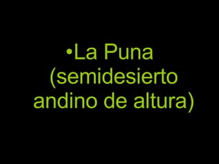 La Puna (semidesierto andino de altura) 