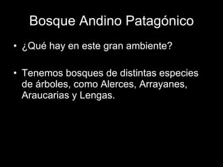 Bosque Andino Patagónico ¿Qué hay en este gran ambiente? Tenemos bosques de distintas especies de árboles, como Alerces, Arrayanes, Araucarias y Lengas. 