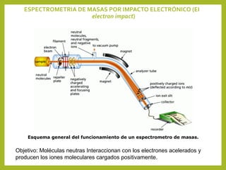 Esquema general del funcionamiento de un espectrometro de masas.
Objetivo: Moléculas neutras Interaccionan con los electrones acelerados y
producen los iones moleculares cargados positivamente.
ESPECTROMETRIA DE MASAS POR IMPACTO ELECTRÓNICO (EI
electron impact)
 