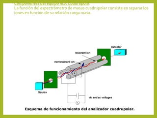 • Componentes del equipo MS: Cuadrupolo.
La función del espectrómetro de masas cuadrupolar consiste en separar los
iones en función de su relación carga masa.
Esquema de funcionamiento del analizador cuadrupolar.
 
