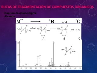 RUTAS DE FRAGMENTACIÓN DE COMPUESTOS ORGÁNICOS
Ruptura de enlace Sigma
Alcanos
 