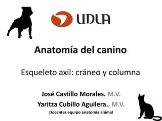 Anatomía del canino
Esqueleto axil: cráneo y columna
José Castillo Morales. M.V.
Yaritza Cubillo Aguilera., M.V.
Docentes equipo anatomía animal
 