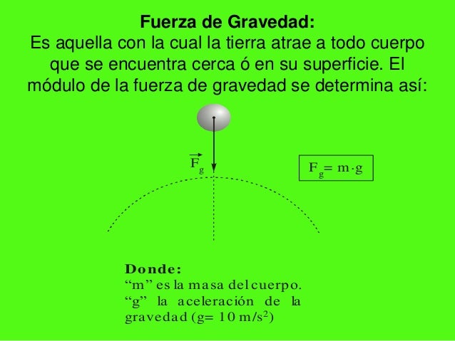 En Que Consiste La Fuerza De Gravedad Ovario