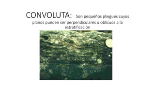 CONVOLUTA: Son pequeños pliegues cuyos
planos pueden ser perpendiculares u oblicuos a la
estratificación
 