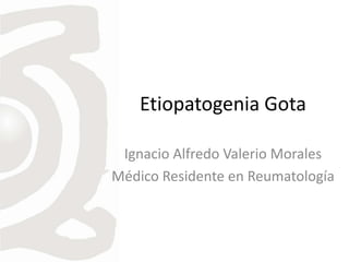 Etiopatogenia Gota
Ignacio Alfredo Valerio Morales
Médico Residente en Reumatología
 