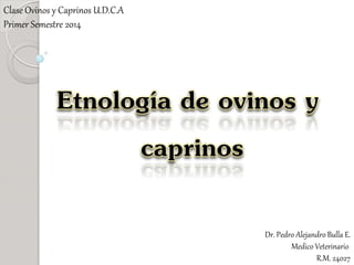 Dr. Pedro Alejandro Bulla E.
Medico Veterinario
R.M. 24027
Clase Ovinos y Caprinos U.D.C.A
Primer Semestre 2014
 