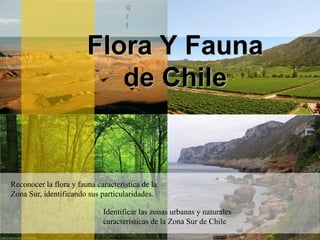 Flora Y Fauna de Chile Reconocer la flora y fauna característica de la Zona Sur, identificando sus particularidades. Identificar las zonas urbanas y naturales características de la Zona Sur de Chile 