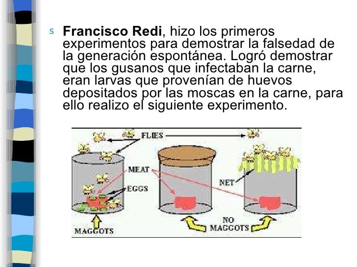 C Lase EvolucióN 1