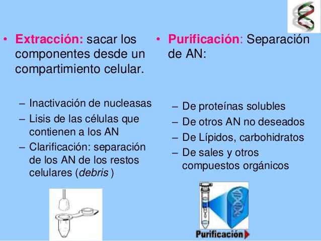 María Ángeles Baridon Métodos de extracción y