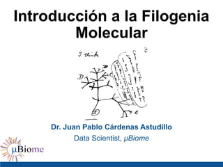 Introducción a la Filogenia
Molecular
Dr. Juan Pablo Cárdenas Astudillo
Data Scientist, μBiome
 
