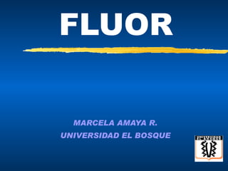 FLUOR MARCELA AMAYA R. UNIVERSIDAD EL BOSQUE 