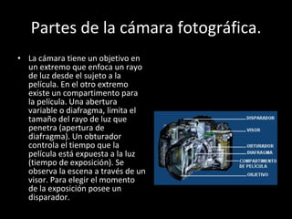 Partes de la cámara fotográfica. La cámara tiene un objetivo en un extremo que enfoca un rayo de luz desde el sujeto a la película. En el otro extremo existe un compartimento para la película. Una abertura variable o diafragma, limita el tamaño del rayo de luz que penetra (apertura de diafragma). Un obturador controla el tiempo que la película está expuesta a la luz (tiempo de exposición). Se observa la escena a través de un visor. Para elegir el momento de la exposición posee un disparador. 