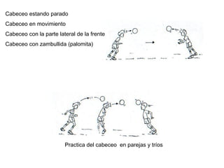 Cabeceo estando parado
Cabeceo en movimiento
Cabeceo con la parte lateral de la frente
Cabeceo con zambullida (palomita)
Practica del cabeceo en parejas y tríos
 