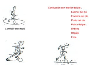 Conducir en círculo
Conducción con Interior del pie .
Exterior del pie
Empeine del pie
Punta del pie
Planta del pie
Dribling
Regate
Finta
 