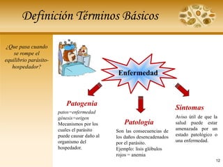 Definición Términos Básicos
¿Que pasa cuando
se rompe el
equilibrio parásito-
hospedador?
Enfermedad
Patogenia
Patología
Síntomas
patos=enfermedad
génesis=origen
Mecanismos por los
cuales el parásito
puede causar daño al
organismo del
hospedador.
Son las consecuencias de
los daños desencadenados
por el parásito.
Ejemplo: lisis glóbulos
rojos = anemia
Aviso útil de que la
salud puede estar
amenazada por un
estado patológico o
una enfermedad.
12
 