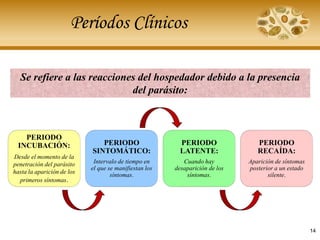 Períodos Clínicos
Se refiere a las reacciones del hospedador debido a la presencia
del parásito:
PERIODO
INCUBACIÓN:
Desde el momento de la
penetración del parásito
hasta la aparición de los
primeros síntomas.
PERIODO
SINTOMÁTICO:
Intervalo de tiempo en
el que se manifiestan los
síntomas.
PERIODO
LATENTE:
Cuando hay
desaparición de los
síntomas.
PERIODO
RECAÍDA:
Aparición de síntomas
posterior a un estado
silente.
14
 