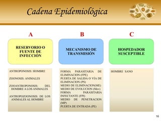 Cadena Epidemiológica
RESERVORIO O
FUENTE DE
INFECCIÓN
A
ANTROPONOSIS: HOMBRE
ZOONOSIS: ANIMALES
ZOOANTROPONOSIS: DEL
HOMBRE A LOS ANIMALES
ANTROPOZOONOSIS: DE LOS
ANIMALES AL HOMBRE
MECANISMO DE
TRANSMISIÓN
B
FORMA PARASITARIA DE
ELIMINACION (FPE)
PUERTA DE SALIDA O VÍA DE
ELIMINACION (PS)
MEDIO DE ELIMINACION(ME)
MEDIO DE EVOLUCION (Mev)
FORMA PARASITARIA
INFECTANTE (FPI)
MEDIO DE PENETRACION
(MP)
PUERTA DE ENTRADA (PE)
HOSPEDADOR
SUSCEPTIBLE
C
HOMBRE SANO
16
 