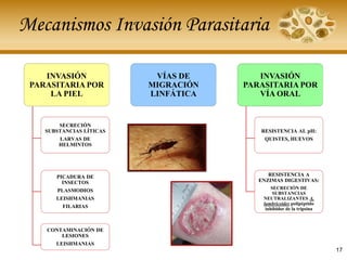 Mecanismos Invasión Parasitaria
INVASIÓN
PARASITARIA POR
LA PIEL
SECRECIÓN
SUBSTANCIAS LÍTICAS
LARVAS DE
HELMINTOS
PICADURA DE
INSECTOS
PLASMODIOS
LEISHMANIAS
FILARIAS
CONTAMINACIÓN DE
LESIONES
LEISHMANIAS
VÍAS DE
MIGRACIÓN
LINFÁTICA
INVASIÓN
PARASITARIA POR
VÍA ORAL
RESISTENCIA AL pH:
QUISTES, HUEVOS
RESISTENCIA A
ENZIMAS DIGESTIVAS:
SECRECIÓN DE
SUBSTANCIAS
NEUTRALIZANTES A.
lumbricoides polipéptido
inhibidor de la tripsina
17
 