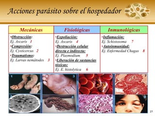 Acciones parásito sobre el hospedador
Fisiológicas Inmunológicas
•Obstrucción:
Ej. Ascaris 1
•Compresión:
Ej. Cysticercus 2
•Traumatismo:
Ej. Larvas nemátodes 3
•Expoliación:
Ej. Ascaris 4
•Destrucción celular
directa e indirecta:
Ej. Plasmodium 5
•Liberación de sustancias
tóxicas:
Ej. E. histolytica 6
•Inflamación:
Ej. Schistosoma 7
•Autoinmunidad:
Ej. Enfermedad Chagas 8
Mecánicas
21
 