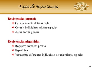 Tipos de Resistencia
Resistencia natural:
❖ Genéticamente determinada
❖ Común individuos misma especie
❖ Actúa forma general
Resistencia adquirida:
❖ Requiere contacto previo
❖ Específica
❖ Varía entre diferentes individuos de una misma especie
24
 
