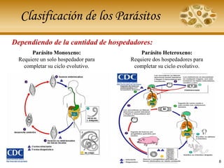 Clasificación de los Parásitos
Dependiendo de la cantidad de hospedadores:
Parásito Monoxeno:
Requiere un solo hospedador para
completar su ciclo evolutivo.
Parásito Heteroxeno:
Requiere dos hospedadores para
completar su ciclo evolutivo.
8
 