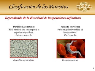 Clasificación de los Parásitos
Dependiendo de la diversidad de hospedadores definitivos:
Parásito Estenoxeno:
Solo parasita una sola especie o
especies muy afines.
Esteno= estrecho
Enterobius vermicularis
Parásito Eurixeno:
Parasita gran diversidad de
hospedadores.
Euri= ancho
Trypanosoma cruzi
9
 