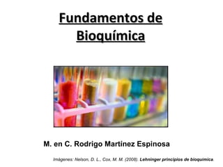 Fundamentos de Bioquímica M. en C. Rodrigo Martínez Espinosa Imágenes: Nelson, D. L., Cox, M. M. (2008).  Lehninger principios de bioqu í mica .  