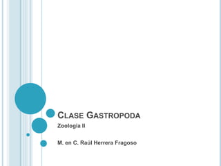 CLASE GASTROPODA
Zoologia II
M. en C. Raúl Herrera Fragoso
 