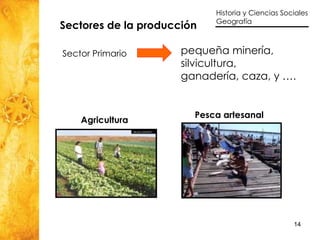 Sectores de la producción  Sector Primario pequeña minería, silvicultura, ganadería, caza, y …. Agricultura Pesca artesanal 