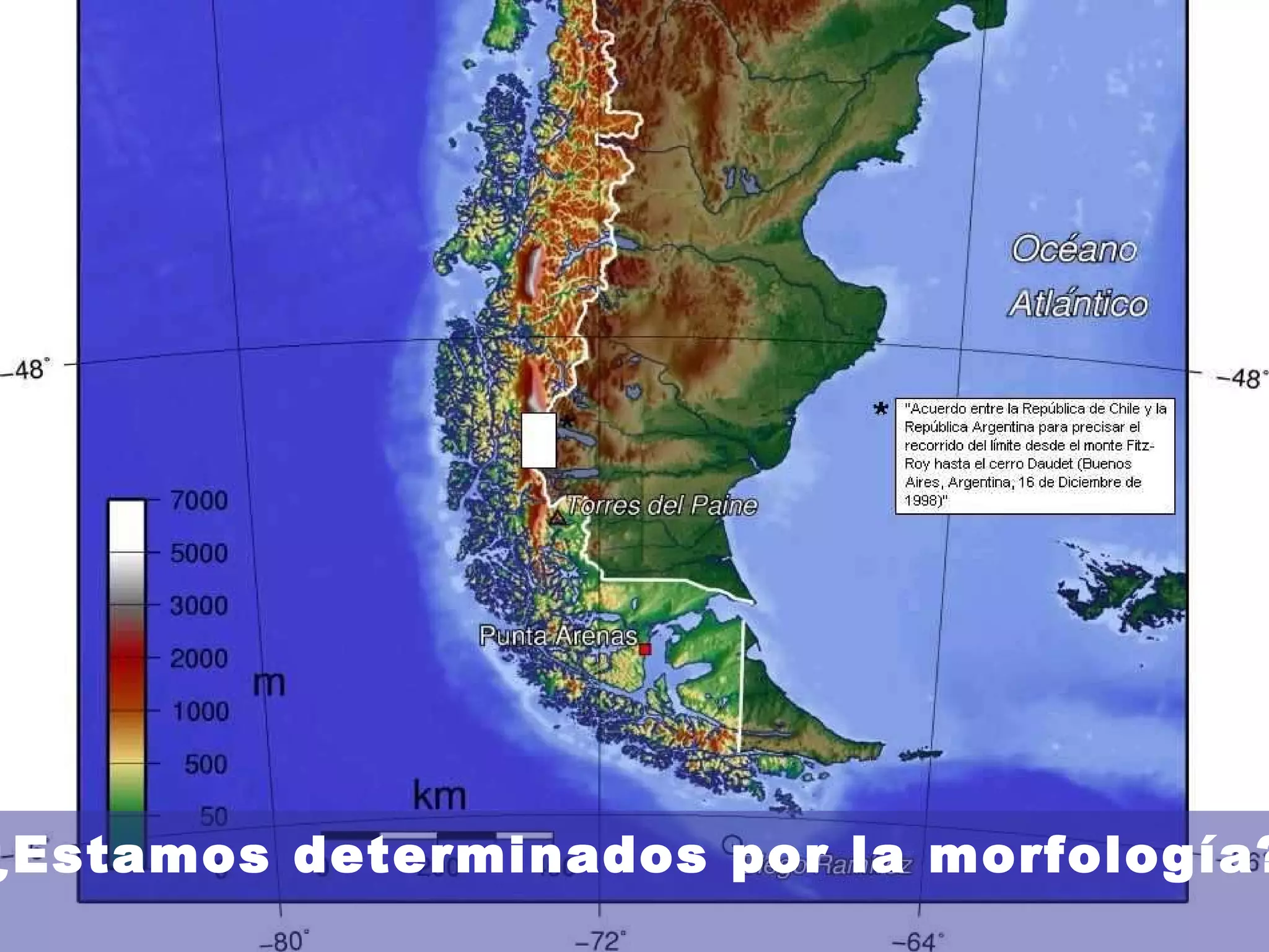 ¿Estamos determinados por la morfología? 