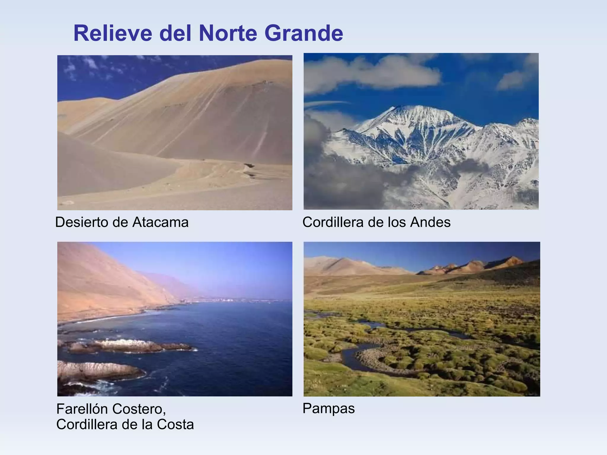 Relieve del Norte Grande Pampas Farellón Costero,  Cordillera de la Costa Cordillera de los Andes Desierto de Atacama 