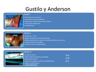 Gustilo y Anderson<br />III A<br />III B<br />III C<br />