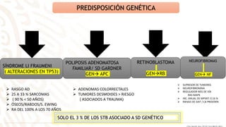 PREDISPOSICIÓN GENÉTICA
SÍNDROME LI FRAUMENI
( ALTERACIONES EN TP53)
POLIPOSIS ADENOMATOSA
FAMILIAR/ SD GARDNER
GEN APC
RETINOBLASTOMA
GENRB
NEUROFIBROMAS
GEN NF
 RASGO AD
 25 A 33 % SARCOMAS
 ( 90 % < 50 AÑOS)
 ÓSEOS/RABDOS/S. EWING
 RA DEL 100% A LOS 70 AÑOS
SOLO EL 3 % DE LOS STB ASOCIADO A SD GENÉTICO
 ADENOMAS COLORRECTALES
 TUMORES DESMOIDES > RIESGO
( ASOCIADOS A TRAUMA)
 SUPRESOR DE TUMORES
 NEUROFIBROMINA
 REGULADOR NEG DE VÍA
RAS-MAPK
 INC. ANUAL DE MPSNT: 0.16 %
 RIESGO DE GIST / CA PROSTATA
 