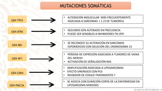 MUTACIONES SOMÁTICAS
GEN ATRX
GEN NF1
GEN TP53
GEN RB1
GEN CDK4
GEN PIKC3A
• ALTERACIÓN MOLECULAR MÁS FRECUENTEMENTE
ASOCIADA A SARCOMAS ( 1 /3 DE TUMORES)
• SEGUNDO GEN ALTERADO EN FRECUENCIA
• PUEDE SER SENSIBLES A INHIBIDORES TKI ATR
• SE RECONOCE SU ALTERACIÓN EN SARCOMAS
ESPORÁDICOS CON DELECIÓN DEL CROMOSOMA 13
• PÉRDIDA DE EXPRESIÓN ASOCIADO A TUMORES DE VAINA
DEL NERVIO
• ACTIVACIÓN DE SEÑALIZACIÓN RAS
• AMPLIFICACIÓN ASOCIADA A LIPOSARCOMAS
• EFECTO SINERGICO CON P53
• INHIBIDOR DE CDK4/6 TRATAMIENTO ?
• SE ASOCIA CON DURACIÓN CORTA DE LA ENFERMEDAD EN
LIPOSARCOMA MIXOIDES
Clin North Am 2016 Oct;96(5):901-14
 