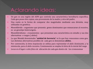 Un gen es una región del ADN que controla una característica hereditaria específica.
Cada gen posee dos copias, una proveniente de la madre y otra del padre.
 Una razón es la forma de comparar dos magnitudes mediante una división, muy
utilizadas en genética.
 Monohíbrido : organismo que presenta genes dominantes que enmascaran al recesivo,
es un genotipo heterocigoto.
 Monohibridismo : cruzamientos que presentan una característica en estudio y sus dos
alternativas o rasgos ( alelos)
 Lo que Mendel denominaba “unidad de herencia” es lo que hoy conocemos como gen.
Las distintas alternativas posibles de cada gen se denominan alelos.
 Por convención, la letra mayúscula se utiliza para representar el alelo dominante, y la
minúscula, para el alelo recesivo. Comúnmente se emplea la letra de la inicial del rasgo
 Locus es el lugar o sitio físico de ubicación de cada gen dentro de los cromosomas.
 