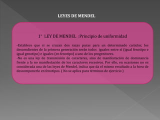 LEYES DE MENDEL
1° LEY DE MENDEL :Principio de uniformidad
-Establece que si se cruzan dos razas puras para un determinado carácter, los
descendientes de la primera generación serán todos iguales entre sí (igual fenotipo e
igual genotipo) e iguales (en fenotipo) a uno de los progenitores.
-No es una ley de transmisión de caracteres, sino de manifestación de dominancia
frente a la no manifestación de los caracteres recesivos. Por ello, en ocasiones no es
considerada una de las leyes de Mendel, indica que da el mismo resultado a la hora de
descomponerlo en fenotipos. ( No se aplica para términos de ejercicio )
 