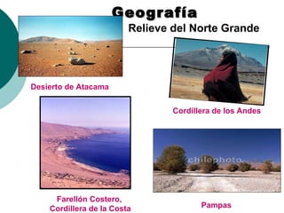 GeografíaGeografía
Farellón Costero,
Cordillera de la Costa
Cordillera de los Andes
Desierto de Atacama
Pampas
Relieve del Norte Grande
 
