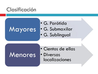 Clasificación
 