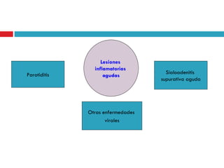 Lesiones
                inflamatorias
Parotiditis                          Sialoadenitis
                    agudas
                                   supurativa aguda




              Otras enfermedades
                     virales
 