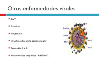 Otras enfermedades virales
   CMV.

   Echovirus

   Influenza A.

   Virus linfocítico de la coriomeningitis

   Coxsackie A y B.

   Virus entéricos citopáticos “huérfanos”.
 