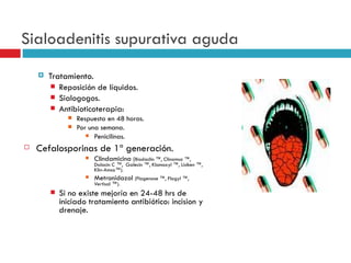 Sialoadenitis supurativa aguda
       Tratamiento.
           Reposición de líquidos.
           Sialogogos.
           Antibioticoterapia:
                 Respuesta en 48 horas.
                 Por una semana.
                      Penicilinas.

   Cefalosporinas de 1ª generación.
                       Clindamicina (Biodaclin ™, Clinamsa ™,
                        Dalacin C ™, Galecin ™, Klamoxyl ™, Lisiken ™,
                        Klin-Amsa™).
                       Metronidazol (Flagenase ™, Flagyl ™,
                        Vertisal ™).
           Si no existe mejoría en 24-48 hrs de
            iniciado tratamiento antibiótico: incision y
            drenaje.
 