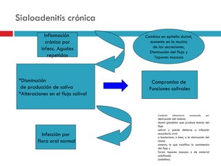 Sialoadenitis crónica
             Inflamación            Cambios en epitelio ductal,
              crónica por             aumento en la mucina
           infecc. Agudas              de las secreciones,
                                      Disminución del flujo y
               repetidas                 Tapones mucosos




*Disminución                           Compromiso de
 de producción de saliva              Funciones salivales
*Alteraciones en el flujo salival


                                           Condición   inflamatoria   ocasionada   por
                                           destrucción del sistema
                                           ductal glandular que produce éstasis del
                                           flujo
                                           salival y puede deberse a infección
           Infección por                   secundaria viral
                                           o bacteriana, o bien, a la obstrucción del
         flora oral normal                 mismo
                                           sistema, lo que modifica la consistencia
                                           del flujo y
                                           forma tapones mucosos o de material
                                           calcificado
                                           (sialolitos).
 