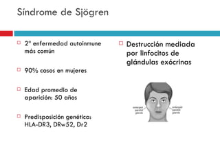 Síndrome de Sjögren

   2ª enfermedad autoinmune      Destrucción mediada
    más común                      por linfocitos de
                                   glándulas exócrinas
   90% casos en mujeres

   Edad promedio de
    aparición: 50 años

   Predisposición genética:
    HLA-DR3, DRw52, Dr2
 