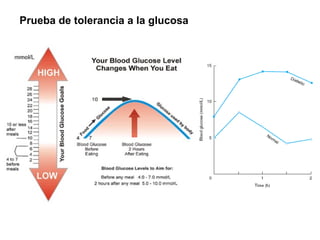 Prueba de tolerancia a la glucosa 